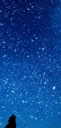 This live phone wallpaper showcases a charming white cat beneath a stunning starry night sky, set against a background of blue liquid and bubbles