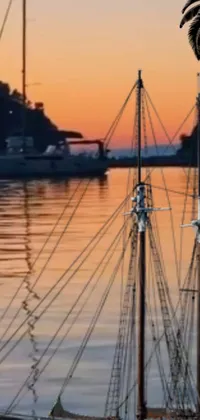 This phone live wallpaper features a stunning image of a three-masted boat, sitting tranquil atop calm water
