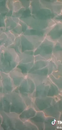 This phone live wallpaper provides an eye-catching scene of a person enjoying a fun-filled swim in a pool while tossing a frisbee around