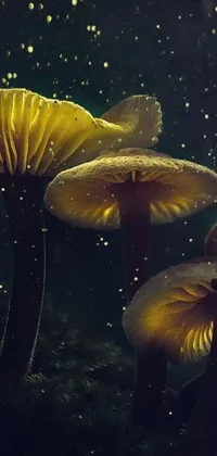 This live wallpaper brings magic and surrealism to your device with its group of mushrooms perched atop a lush green field, surrounded by a dreamy yellow glow
