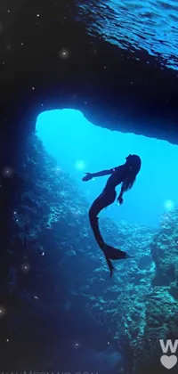 Water Underwater Diving Divemaster Live Wallpaper