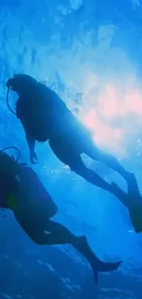 Water Underwater Diving Fin Live Wallpaper