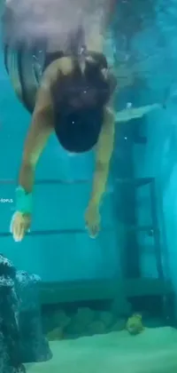 Water Underwater Diving Green Live Wallpaper
