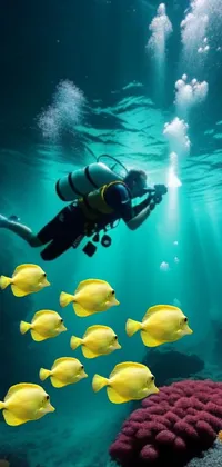 Water Underwater Diving Vertebrate Live Wallpaper