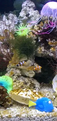 Water Underwater Fish Live Wallpaper