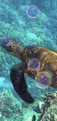 Underwater Turtle Live Wallpaper