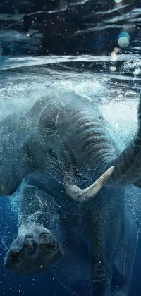 Check out this amazing phone live wallpaper featuring a stunning digital rendering of an elephant swimming gracefully under the surface of crystal clear water
