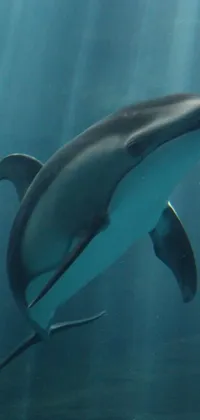 Experience the serene beauty of marine life with this stunning live wallpaper for your phone