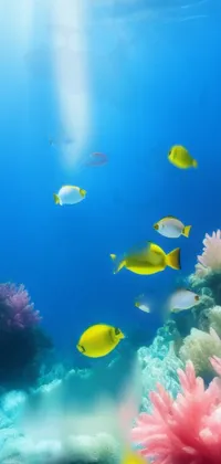 This phone live wallpaper showcases a serene underwater scene with a group of mesmerizing fish in motion