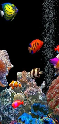 Transform your device into an underwater oasis with this mesmerizing live wallpaper