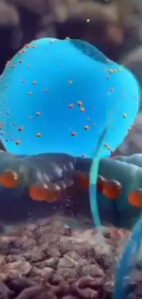 Water Underwater Liquid Live Wallpaper