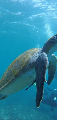 Looking for a serene and immersive phone wallpaper? This high-resolution live wallpaper captures an underwater scene featuring a turtle swimming with a couple of people