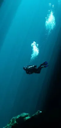 Water Underwater Organism Live Wallpaper