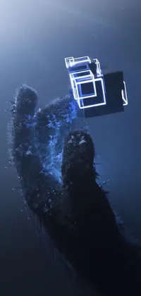 Water Underwater Underwater Diving Live Wallpaper