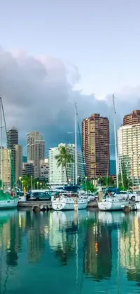 Get mesmerized by this stunning live wallpaper featuring a picturesque harbor set against the backdrop of tall buildings, creating a perfect urban vibe