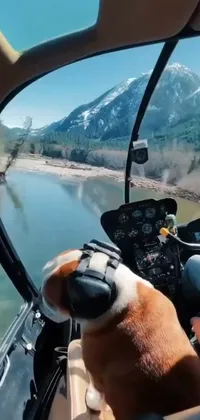 This phone live wallpaper features a playful animation of a dog sitting in the cockpit of a helicopter, with a realistic footage of a flowing river and a mountain climbing scene in Washington