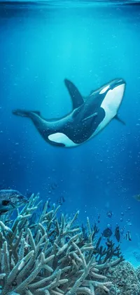 sea Live Wallpaper