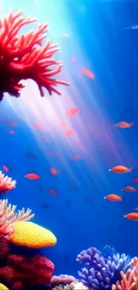 This phone live wallpaper showcases an awe-inspiring view of a group of fish elegantly swimming around a striking coral reef