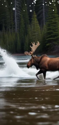 Water Vertebrate Elk Live Wallpaper