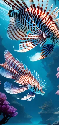 Lionfish under the sea Live Wallpaper