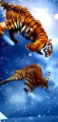 Transform your phone's home screen with this visually stunning live wallpaper featuring two majestic tigers walking across a snow-covered field