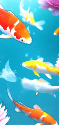 This phone live wallpaper depicts a group of colorful koi fish gracefully swimming in a pond