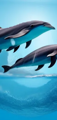 Transform your phone's home screen with this captivating live wallpaper featuring a digital rendering of two dolphins jumping out of the water