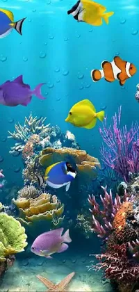 hd fish wallpaper