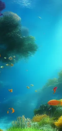 marine fish wallpaper hd