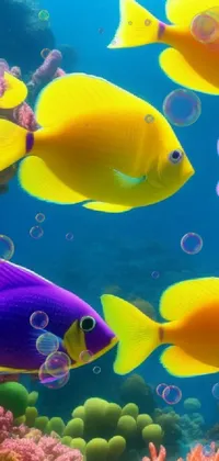 This ocean-themed live wallpaper will make your phone come alive! Watch as schools of colorful fish swim gracefully across your screen, their vibrant scales shining against the deep blue background