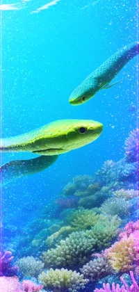 Looking for a stunning live wallpaper for your phone? Check out this beautiful digital rendering featuring a couple of fish swimming in water