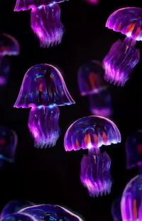 Water Vertebrate Purple Live Wallpaper