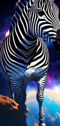 Water Vertebrate Zebra Live Wallpaper