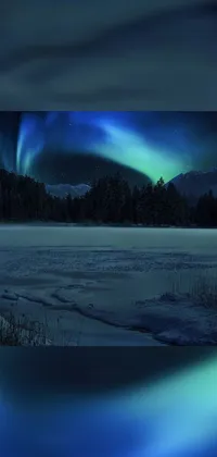 This phone live wallpaper showcases the stunning northern lights glowing vibrantly above a frozen lake, with a forest of trees framing the image