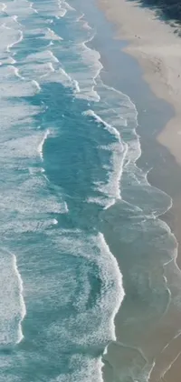 Experience the beauty of nature right on your phone screen with this stunning live wallpaper