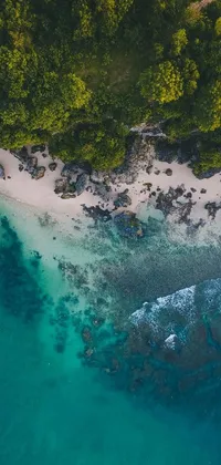 Looking for a stunning live wallpaper for your phone? Check out this aerial view of a tropical beach on Reunion Island! With its incredible depth, lush foliage, and rolling waves, this wallpaper is the perfect way to bring a touch of paradise to your device