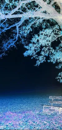 This phone live wallpaper features a serene and cool blue night color palette with a rustic wooden bench beneath a tall tree in the center of a vast field