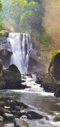 Get closer to nature with this phone live wallpaper featuring a splendid cascade in the middle of a green forest