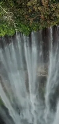 This stunning phone live wallpaper features a breathtaking waterfall cascading down a lush forest landscape, captured through immaculate drone photography