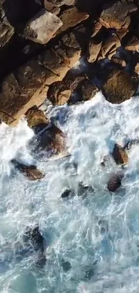 This phone live wallpaper brings the beauty of nature to your device with a bird's eye view of a vast body of water