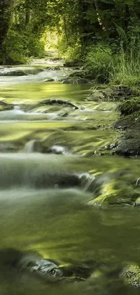 A stunning live wallpaper depicting a forest stream
