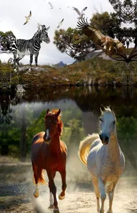 Water Water Resources Horse Live Wallpaper
