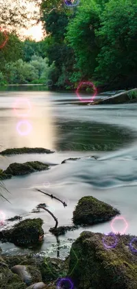 A breathtaking phone live wallpaper showcasing a peaceful forest scene with a meandering river flowing through it, ideal for nature enthusiasts and relaxation seekers