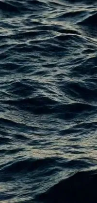 This captivating phone live wallpaper showcases a close-up view of peaceful water waves, captured while in a boat