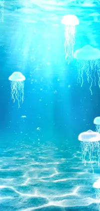 Decorate your phone with a stunning phone live wallpaper featuring an exquisite underwater scene