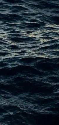 This stunning phone live wallpaper features a bird soaring gracefully over dark, wavy midnight-blue ocean waters