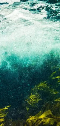 This phone wallpaper showcases a stunning cinematic aquatic scene with a man riding a wave on his surfboard