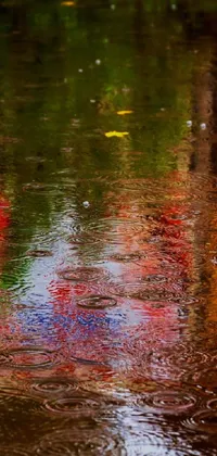 This stunning phone live wallpaper features a vibrant red umbrella perched upon a reflective puddle, inspired by Tom Thomson and the art movement of lyrical abstraction
