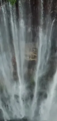 This phone live wallpaper features a stunning aerial shot of a group of individuals admiring a gorgeous waterfall amidst the magnificence of nature