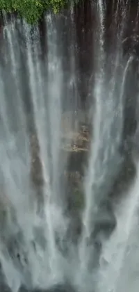 Indulge in the splendor of nature with this breathtaking phone Live Wallpaper! It features a massive waterfall nestled in a serene forest, with crystal-clear images that are mesmerizing